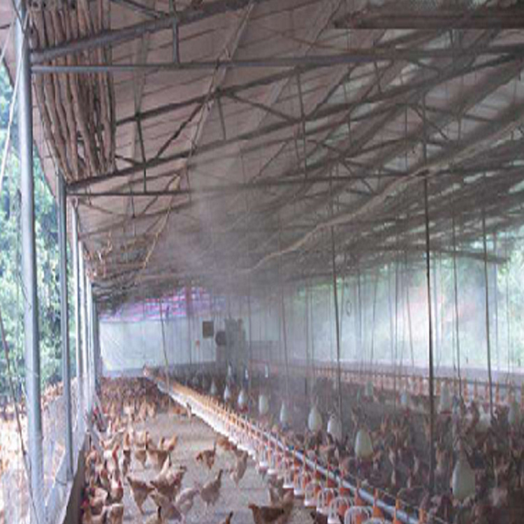 惠州博罗养鸡场喷雾降温/消毒/除臭+冲洗