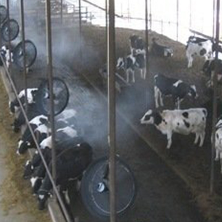 内蒙古赤峰奶牛养殖场喷雾消毒/除臭+冲洗